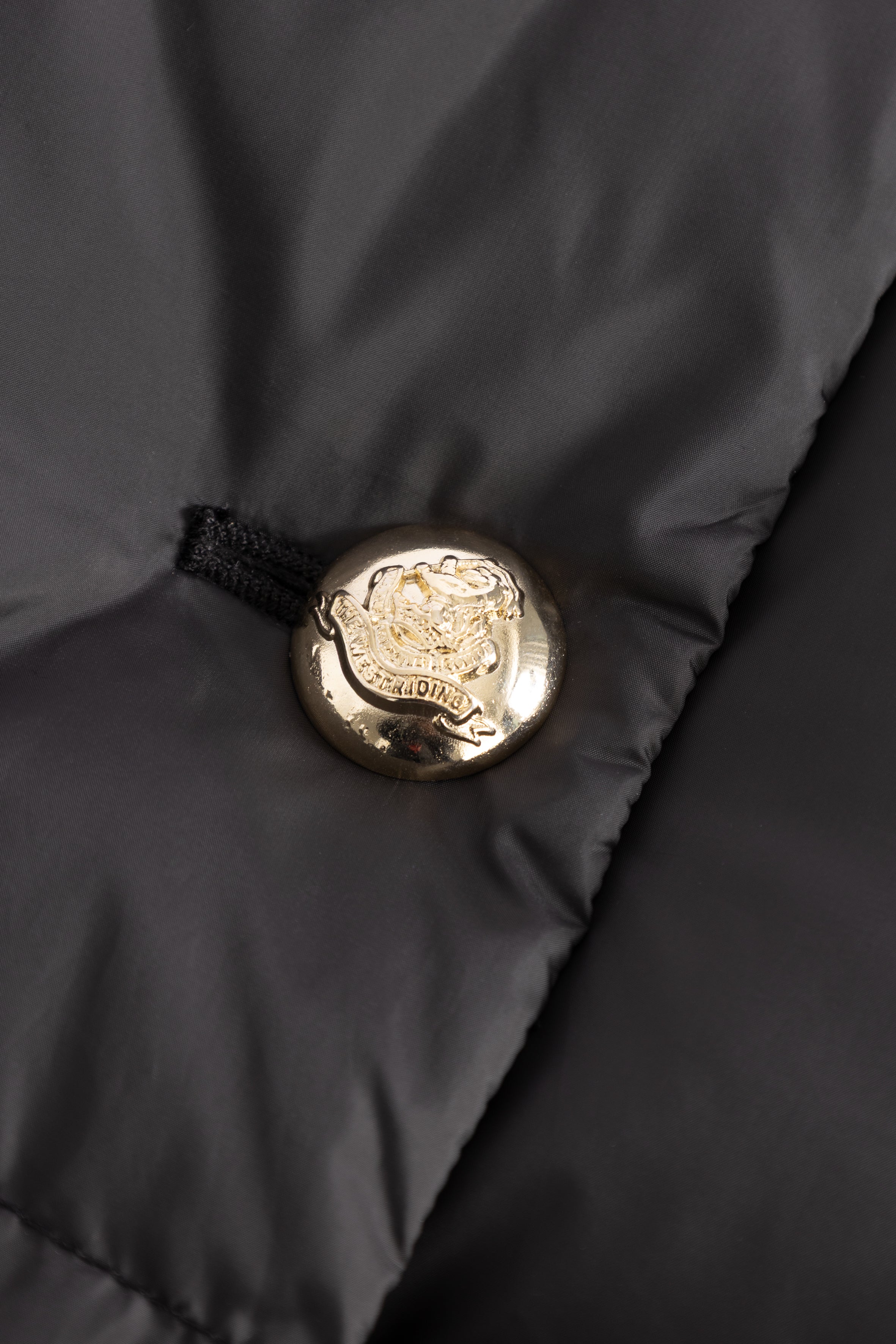 Close-up of a gold button on a black puffer jacket